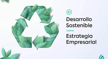 Revolución de la Energía Verde: ¿Cómo pueden las empresas e industrias adoptar la sostenibilidad?